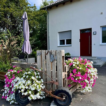 Ferienwohnungen Frank Segnitz Zewnętrze zdjęcie