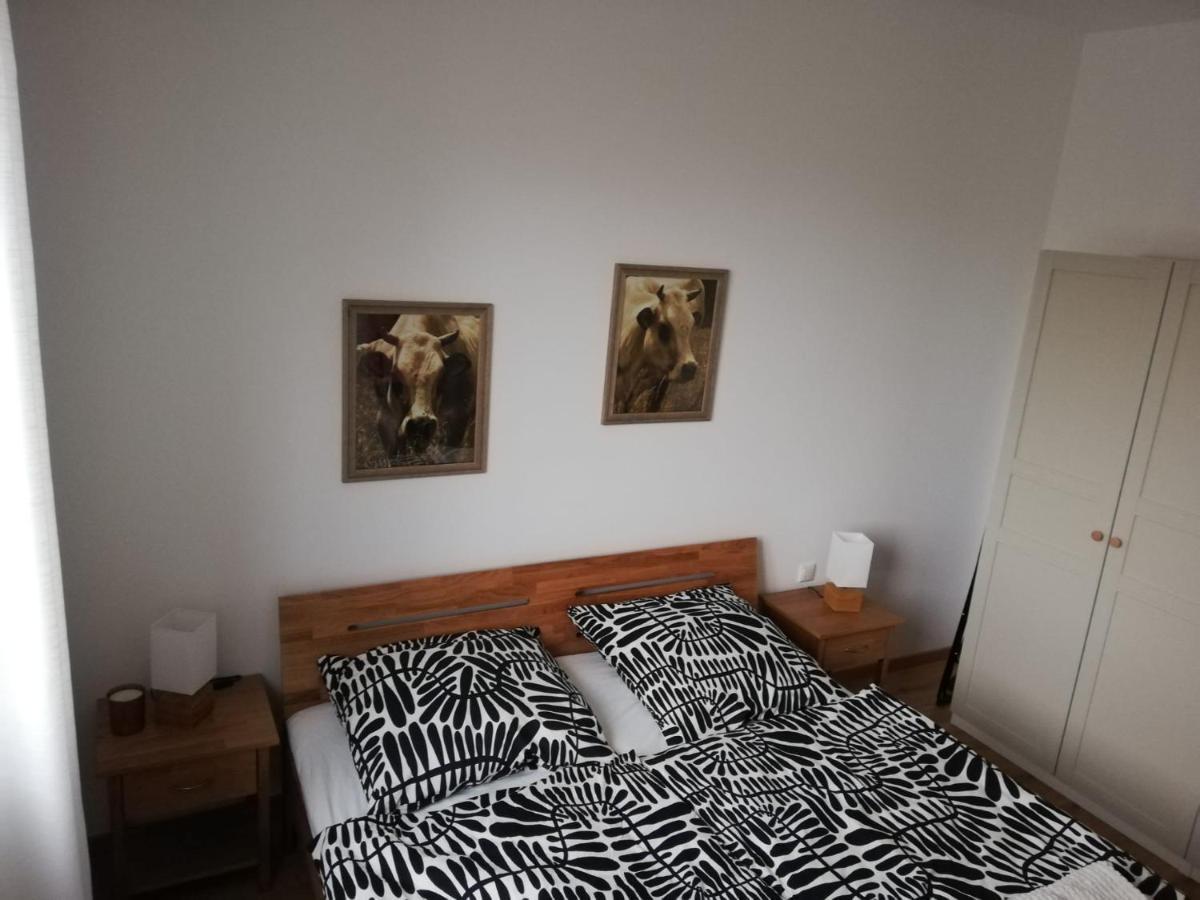 Ferienwohnungen Frank Segnitz Zewnętrze zdjęcie